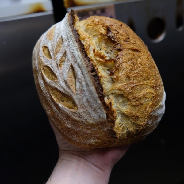 Organic Almost White Sourdough