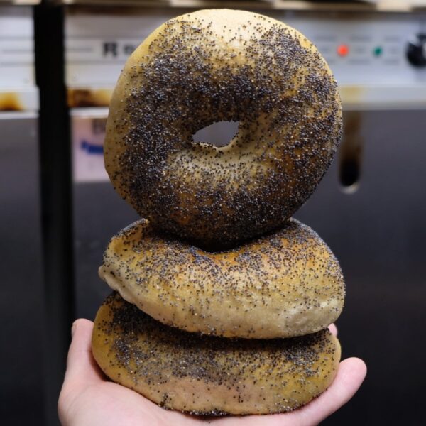 Sourdough Bagels