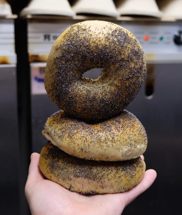 Sourdough Bagels