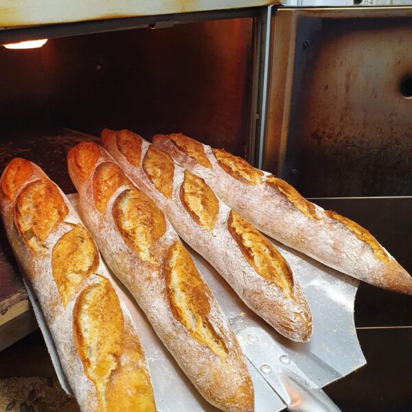 Sourdough Baguette