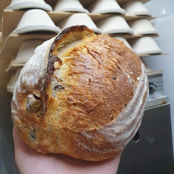 Olive and Thyme Sourdough, The Fat Batard, Peebles, The Scottish Borders